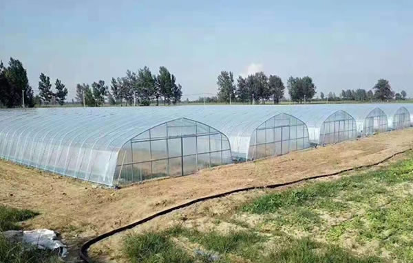 壹定发(中国游)官方网站